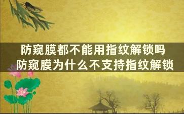 防窥膜都不能用指纹解锁吗 防窥膜为什么不支持指纹解锁